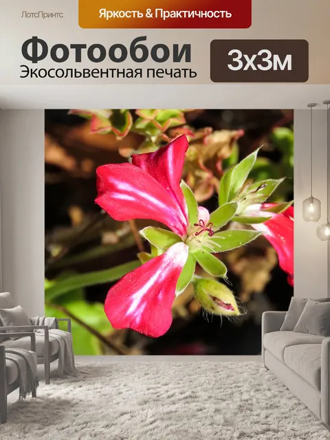 Фотообои Цветы