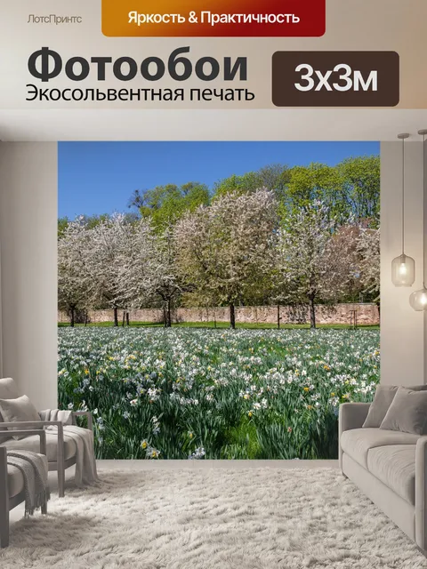 Фотообои Деревья