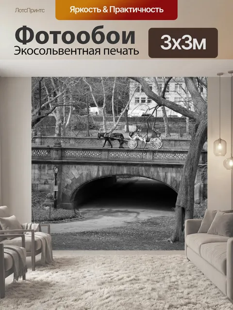 Фотообои Центральный парк, Нью-Йорк