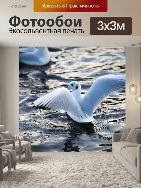 Фотообои Seagulls