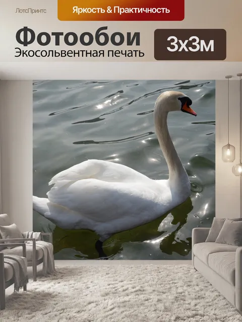 Фотообои лебедь