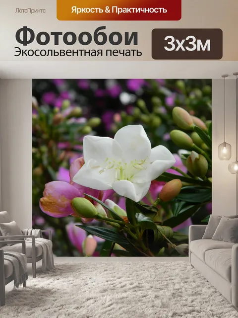 Фотообои Цветы