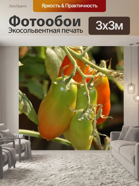 Фотообои Еда