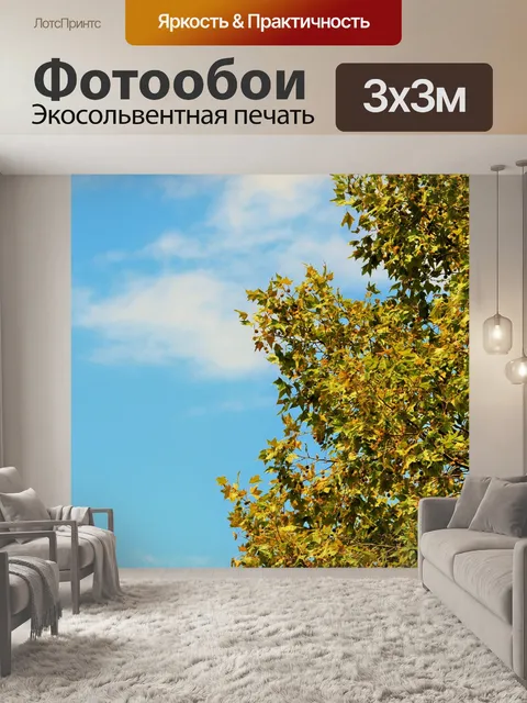 Фотообои желтый платан