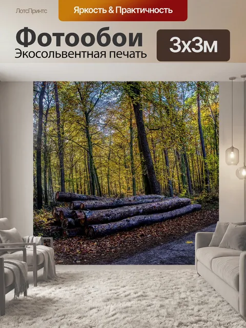 Фотообои Лес
