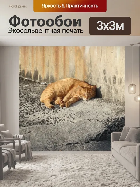 Фотообои Кошка