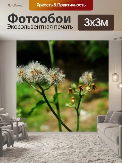 Фотообои Цветы