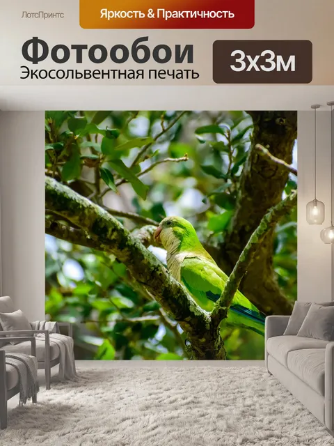 Фотообои Попугай