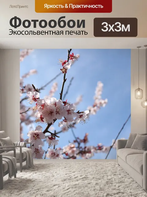 Фотообои Вишня