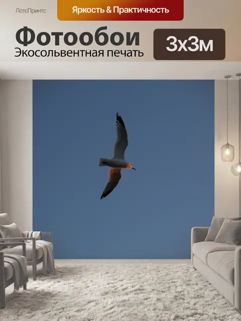 Фотообои Птица