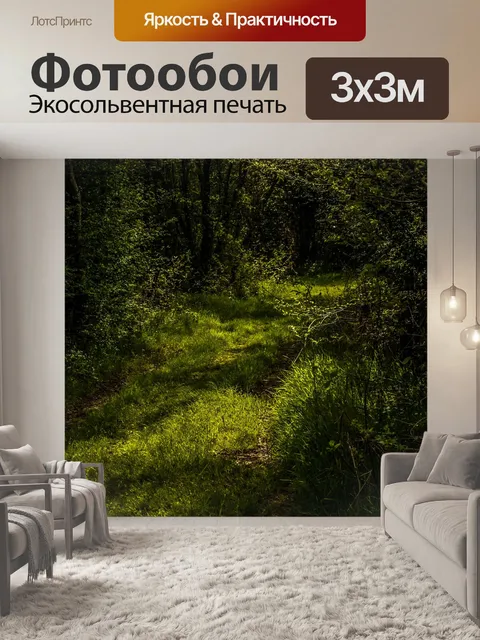 Фотообои Лес