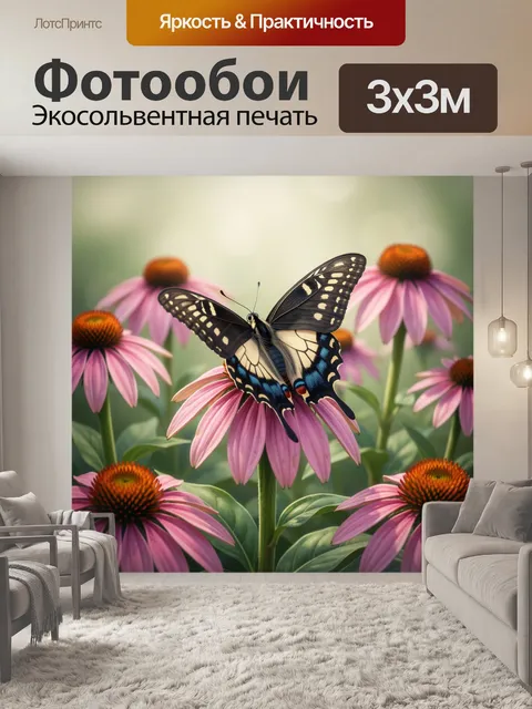 Фотообои Бабочка на розовых эхинацеях