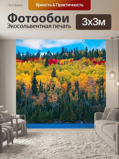 Фотообои Лес