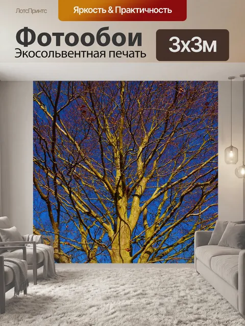 Фотообои Зимнее дерево в солнечном свете