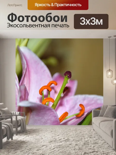 Фотообои Лили