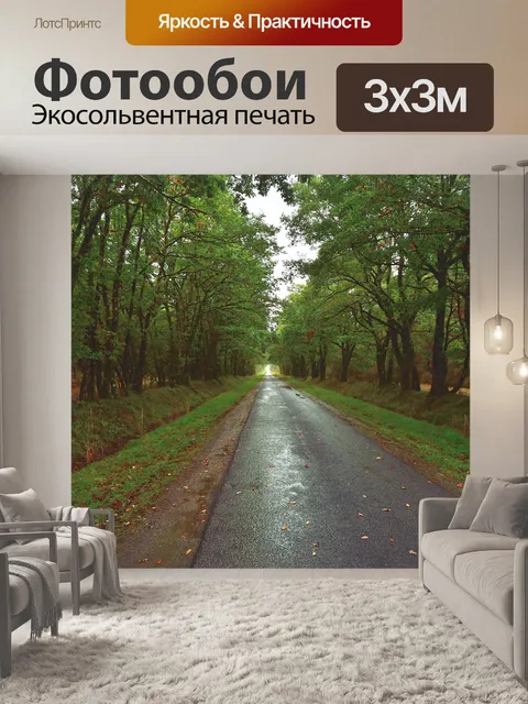 Фотообои Дорога