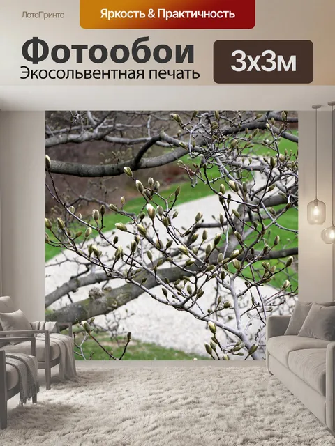 Фотообои Весной почки