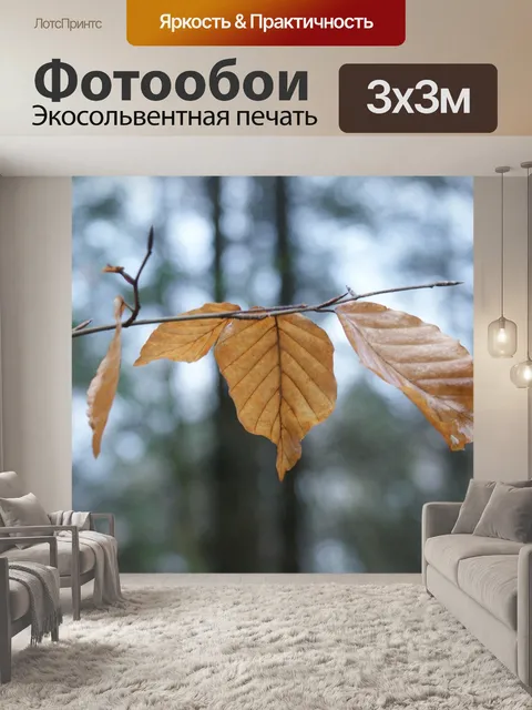 Фотообои Осень