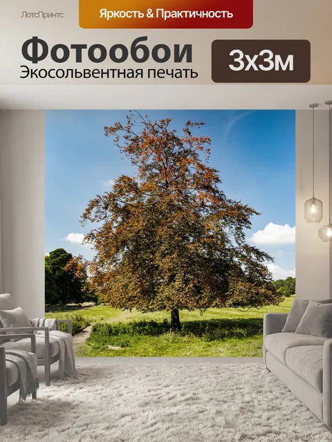Фотообои Только дерево