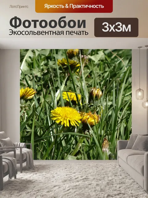 Фотообои Цветы