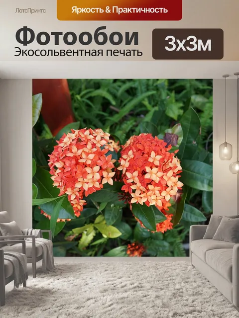 Фотообои Цветок