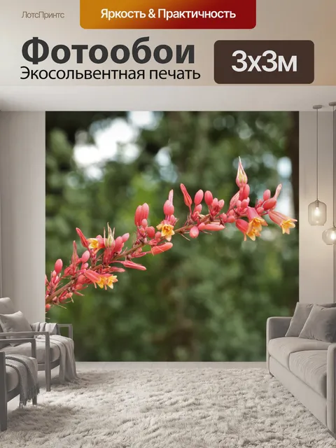 Фотообои Красные цветы Юкки крупным планом