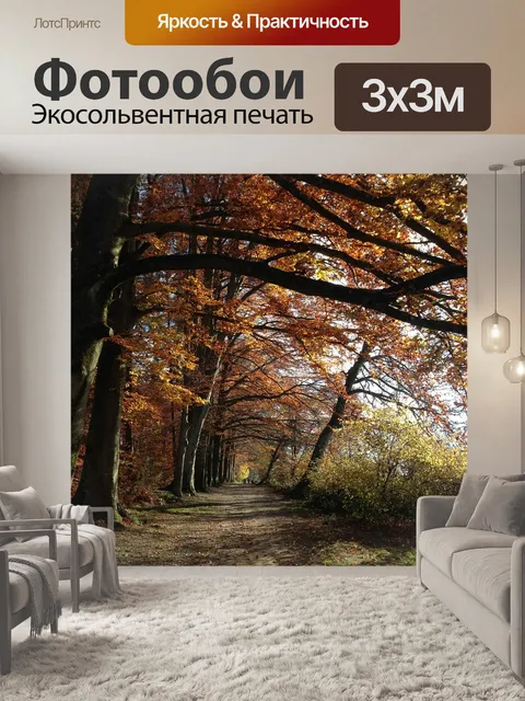 Фотообои Лес