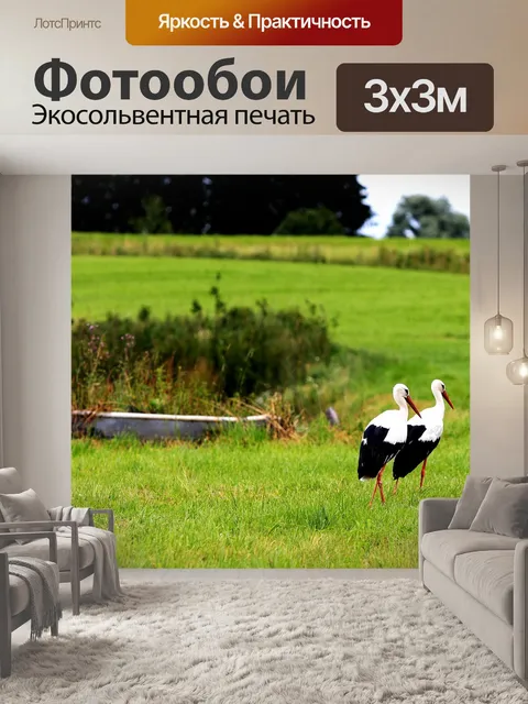 Фотообои Аист