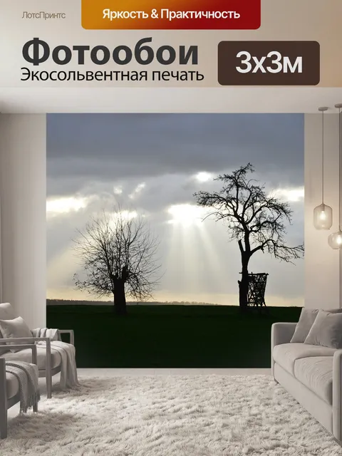 Фотообои Небеса