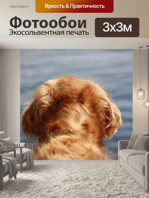 Фотообои Собака