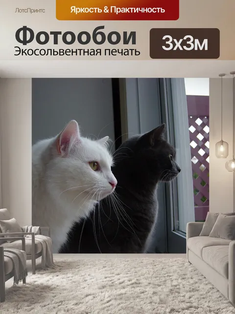 Фотообои Две кошки ищут
