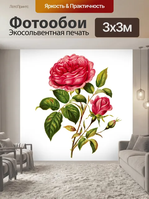 Фотообои Клипарт цветок розы