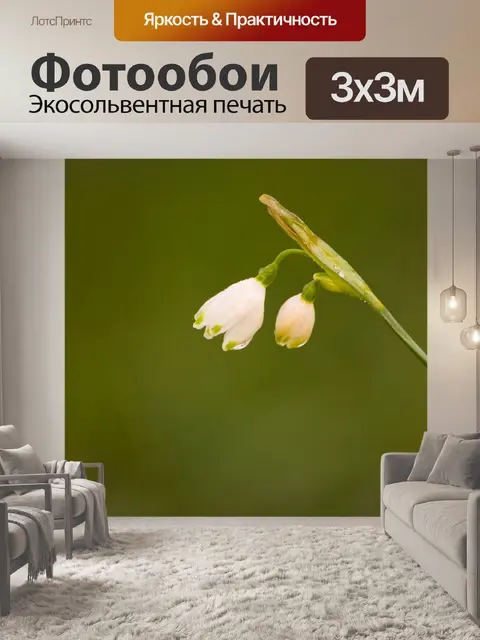 Фотообои Подснежник цветы
