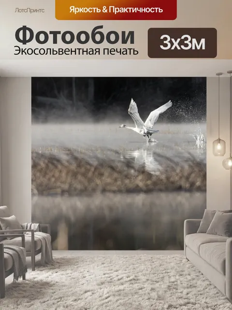 Фотообои Лебедь-трубач