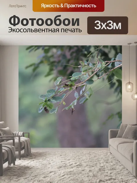 Фотообои Листья