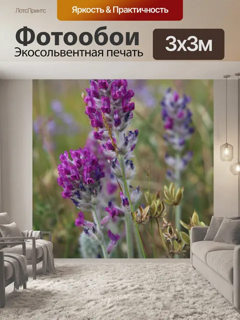 Фотообои Дикие цветы луг