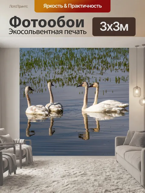 Фотообои Лебеди