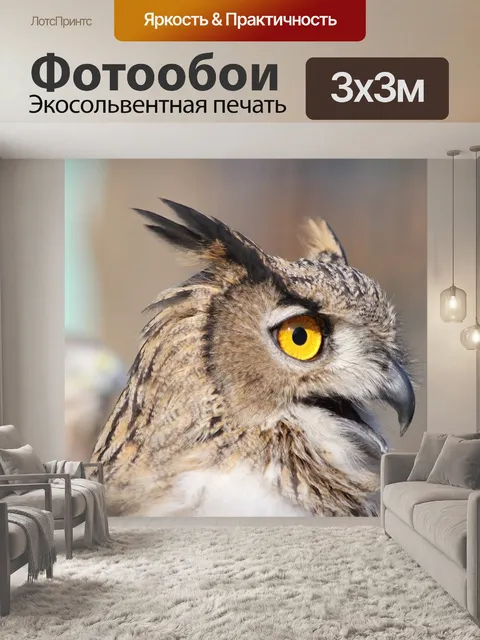 Фотообои Филин
