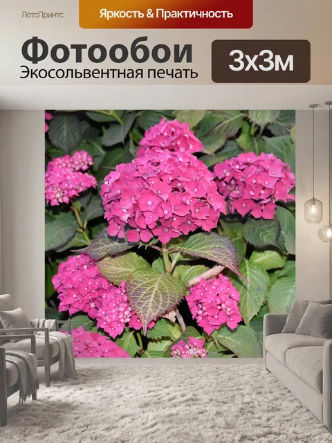 Фотообои Цветок