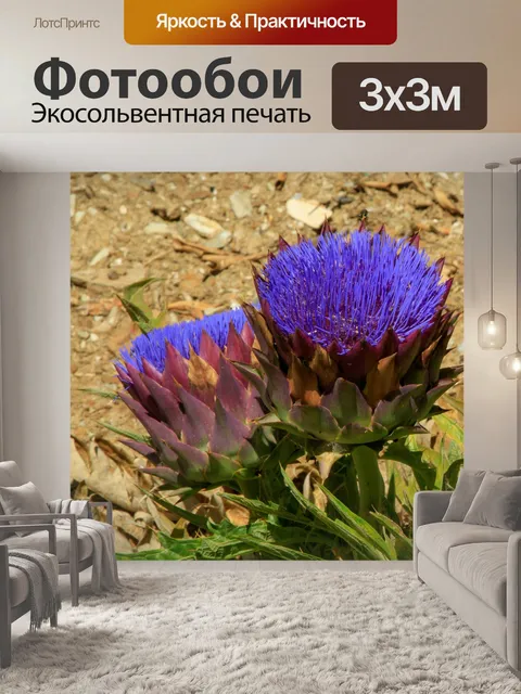 Фотообои Природа Крита