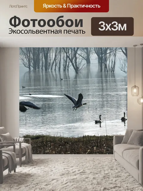 Фотообои Птицы воды