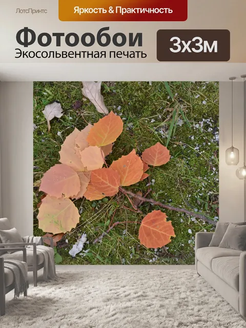 Фотообои Осенние листья фон