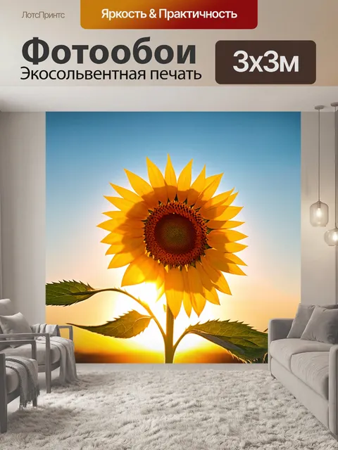 Фотообои подсолнух на фоне заката, лепестки золотистого цвета ловят последние лучи солнца, создавая волшебное свечение