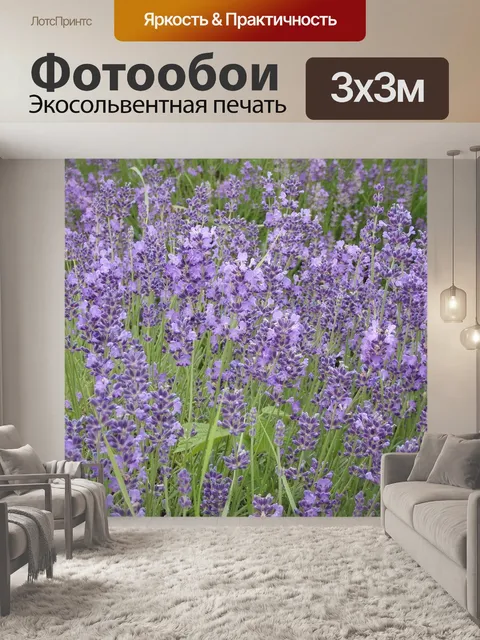 Фотообои Лаванда