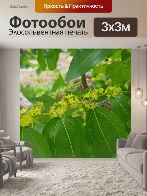 Фотообои Пламя