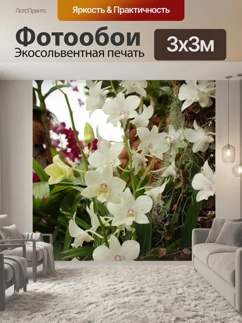 Фотообои Цветок орхидеи цветы