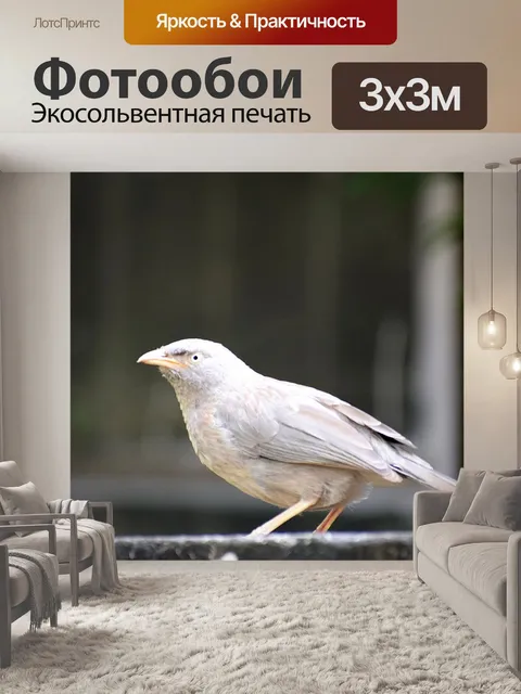 Фотообои Птица