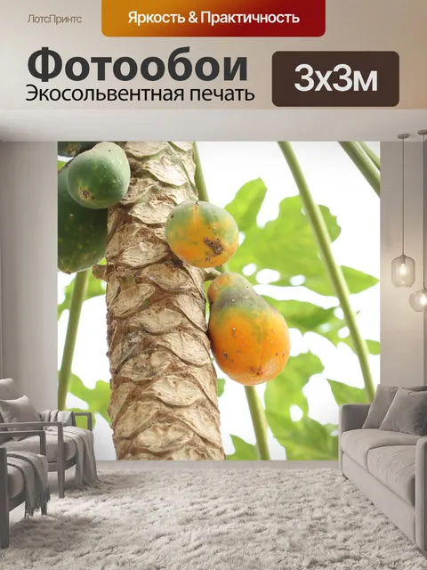 Фотообои Папайя