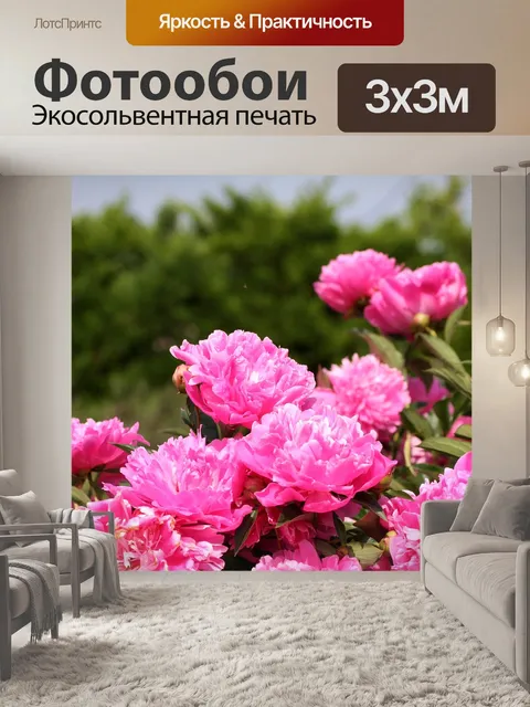 Фотообои Цветы