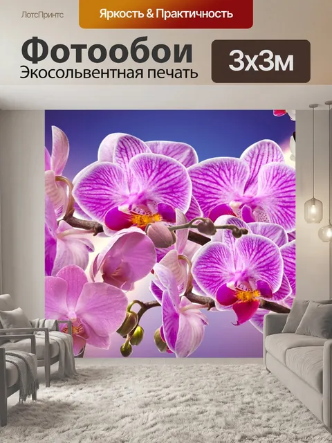 Фотообои Орхидеи